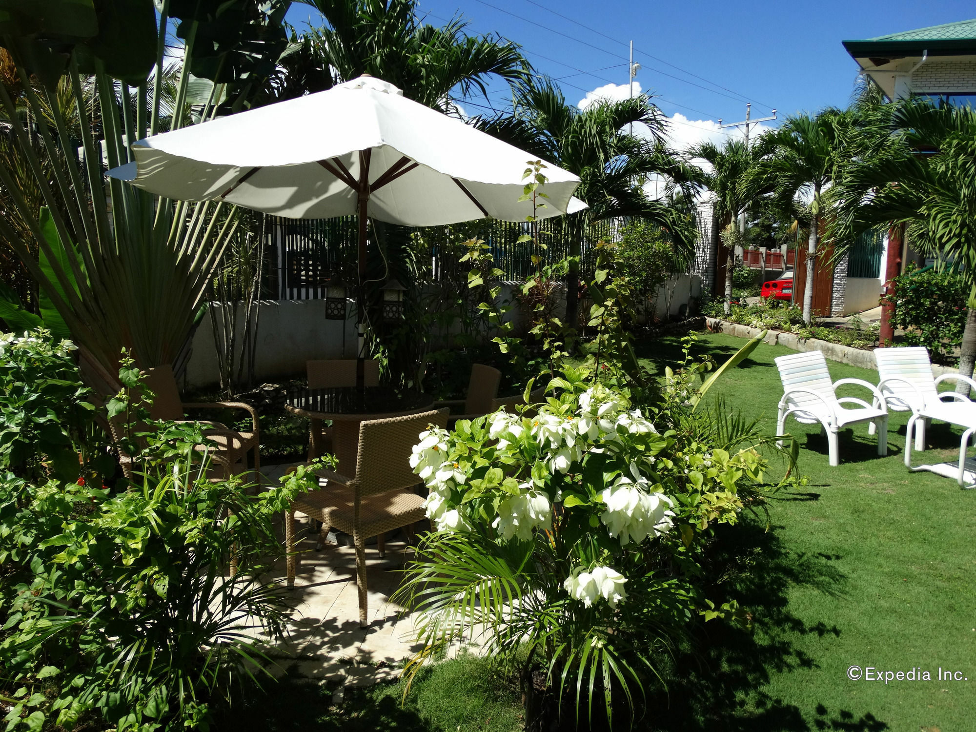 Harmony Hotel Panglao Exterior foto